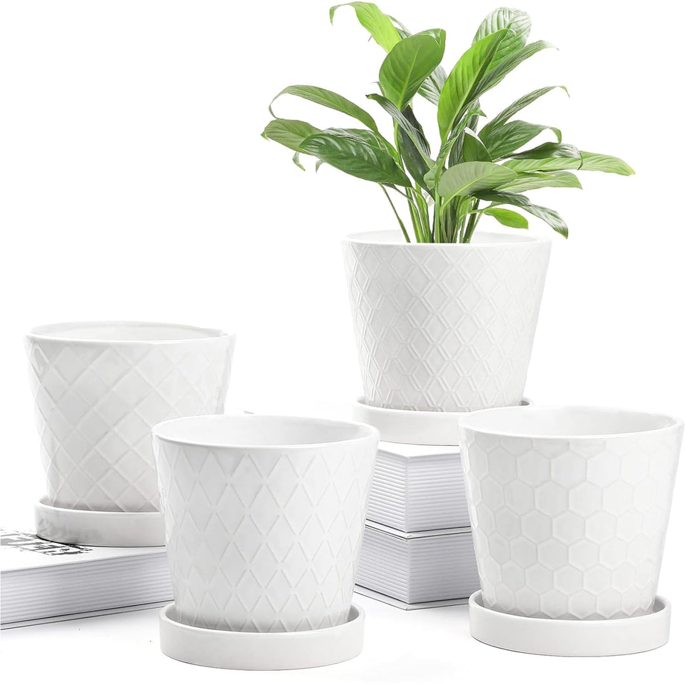 BUYMAX 5-inch white ceramic plant pot with drainage for desktop greenery