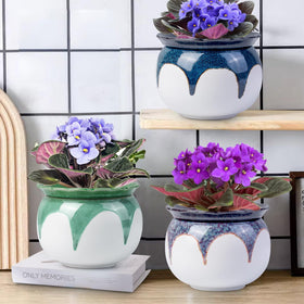 BUYMAX African Violet Pot two-piece design doubles as two planters in one.