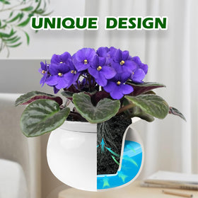 BUYMAX African Violet Pot inner pot showing water absorption for healthy moisture