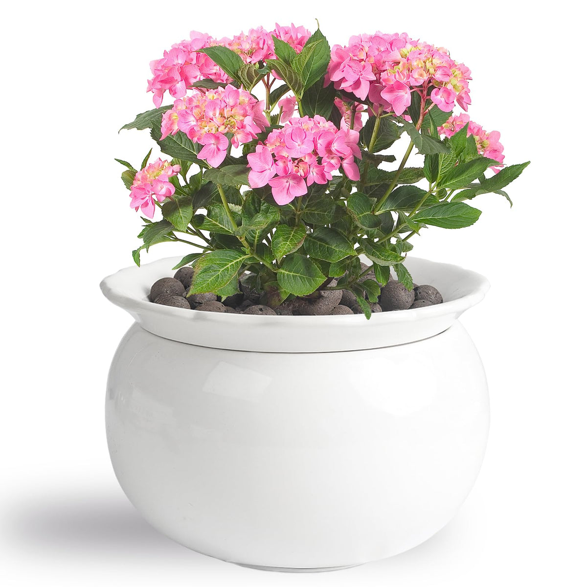 BUYMAX African Violet Pot outer pot with glazed finish for elegant indoor display