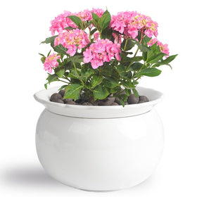 BUYMAX African Violet Pot outer pot with glazed finish for elegant indoor display