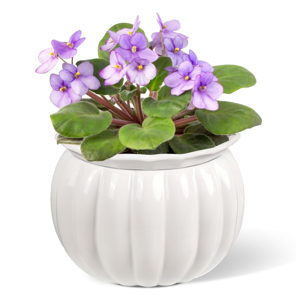 BUYMAX African violet pots with pumpkin-style silhouette add decorative charm while maintaining soil moisture