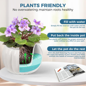 BUYMAX ceramic-dolomite-glaze finishes a premium, durable planter for indoors