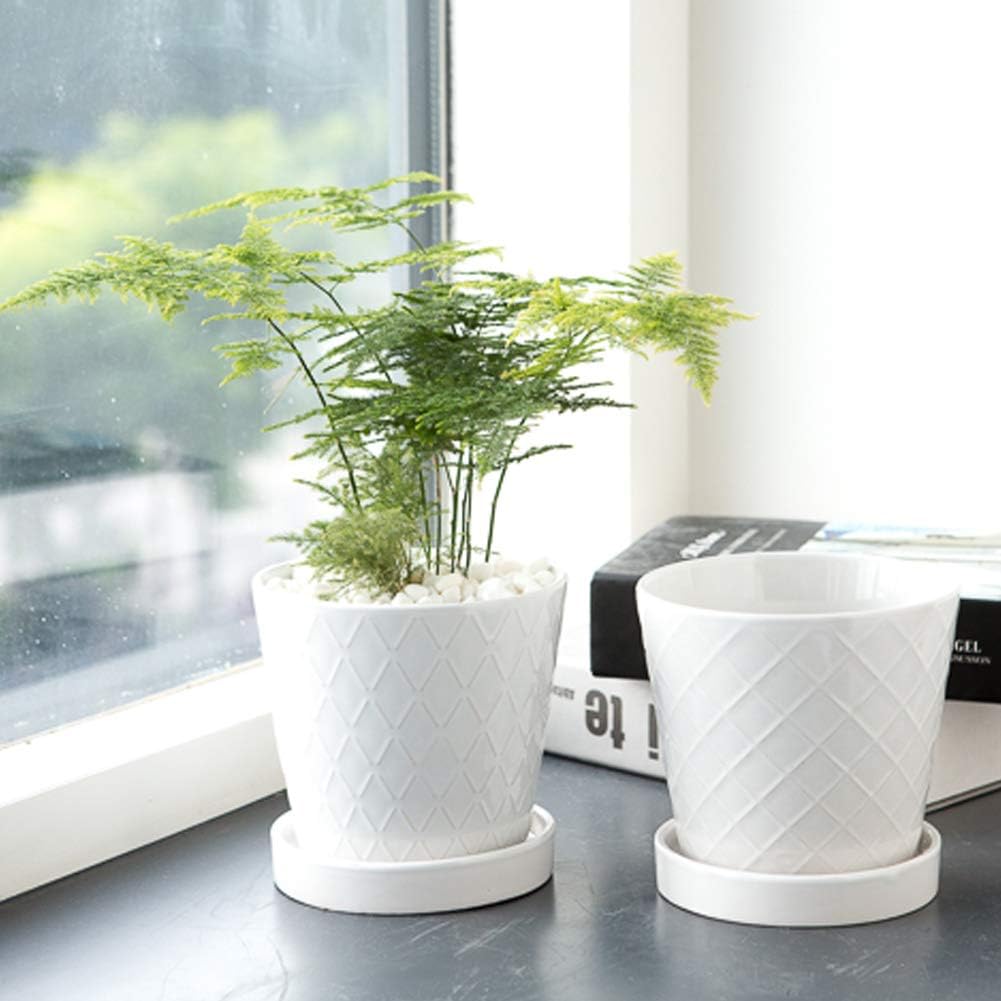 BUYMAX cone-shaped white pot adds modern style to small plants