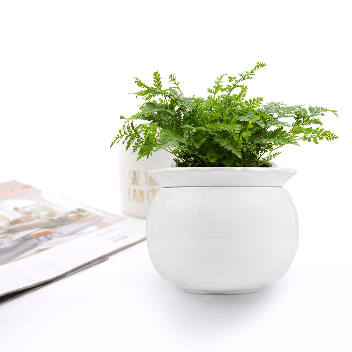 BUYMAX gift-ready packaging for the African Violet Pot
