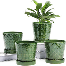 BUYMAX Patina 5-inch ceramic pot with drainage hole for healthy roots.