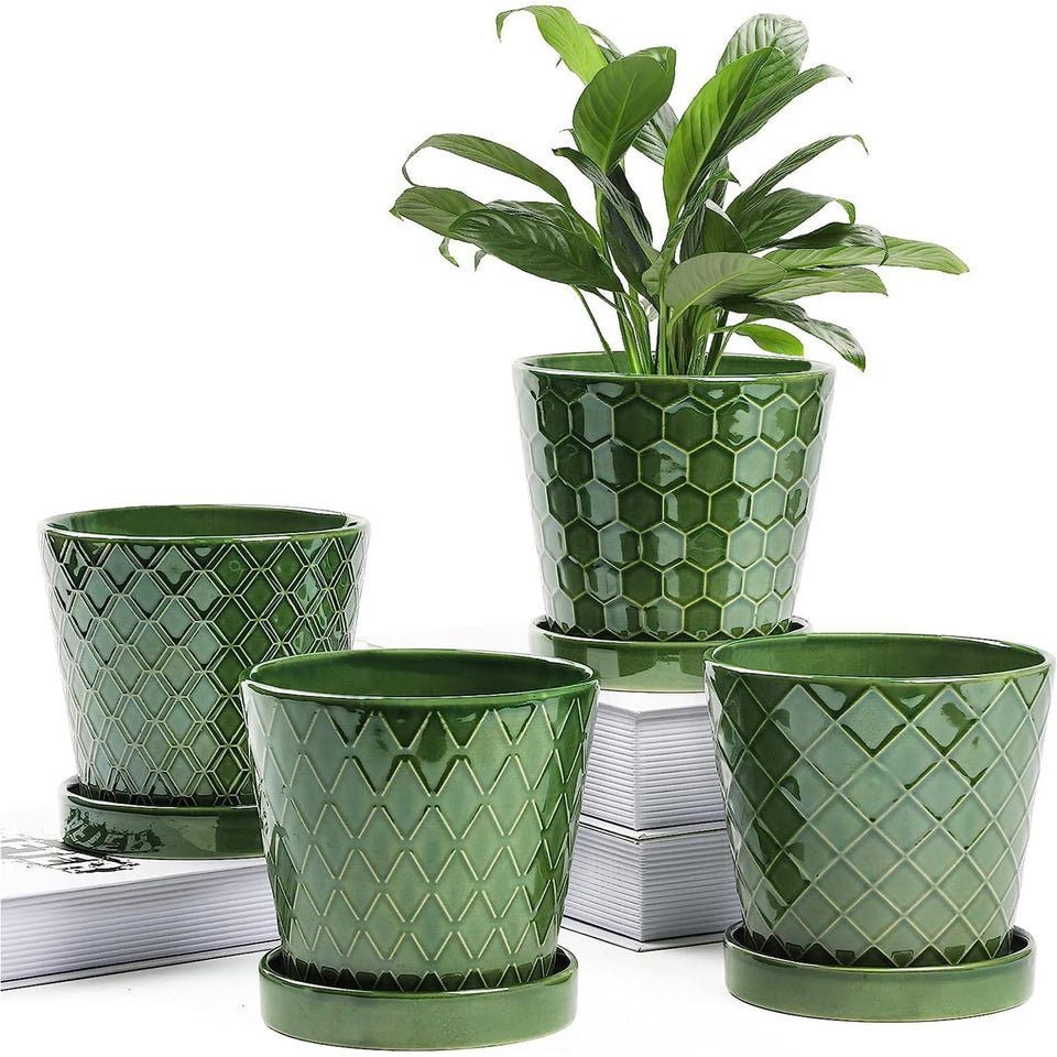 BUYMAX Patina 5-inch ceramic pot with drainage hole for healthy roots.