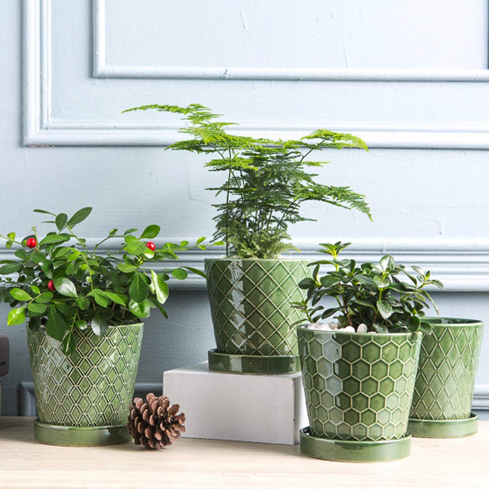 Windowsill display of BUYMAX pots for home or office decor.