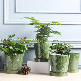 Windowsill display of BUYMAX pots for home or office decor.