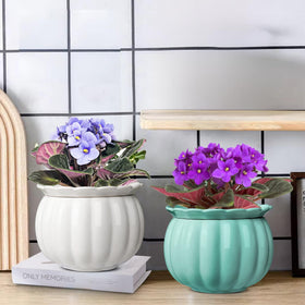 BUYMAX pumpkin-style pot brightens tabletops and windowsills with a charming modern vibe