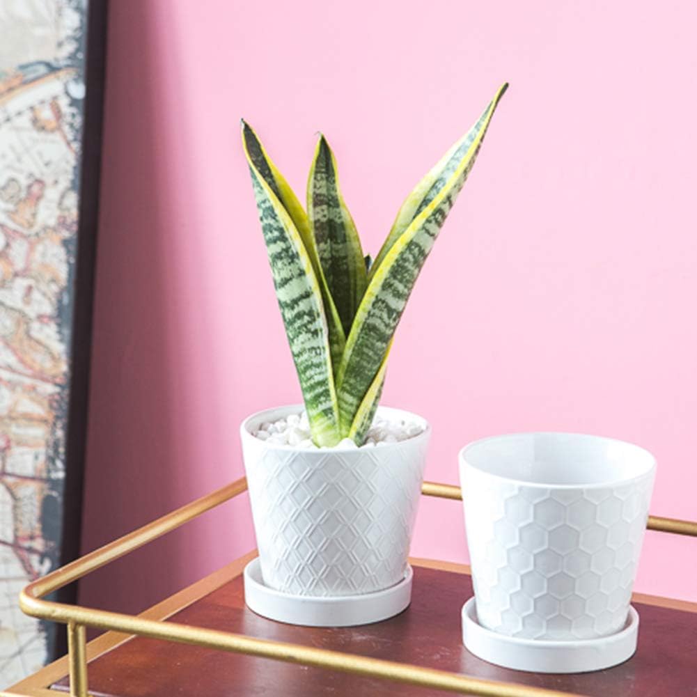 BUYMAX set of 4 white pots provides coordinated plant display