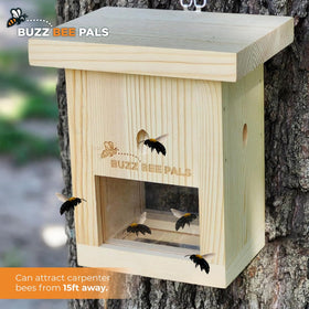 Buzz Bee Pals Defender Trap B1 bottom door enables safe release when needed.