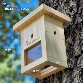 Buzz Bee Pals Defender Trap B1 entry hole guides carpenter bees inside without escape.