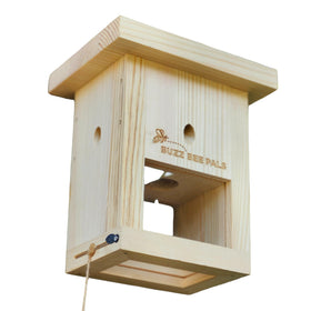 Buzz Bee Pals Defender Trap B1 front view shows a spacious capture area for carpenter bees.