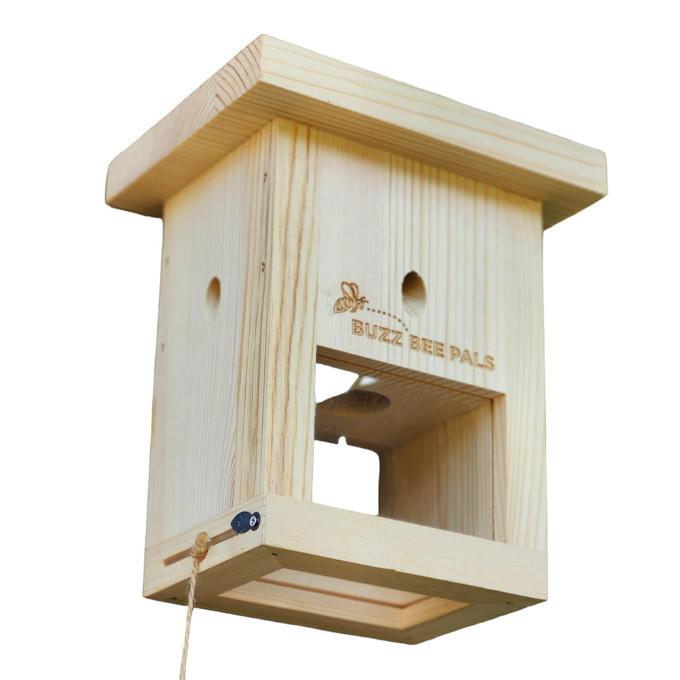 Buzz Bee Pals Defender Trap B1 front view shows a spacious capture area for carpenter bees.