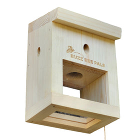 Buzz Bee Pals Patrol Trap B1 outer view shows rugged outdoor-ready construction