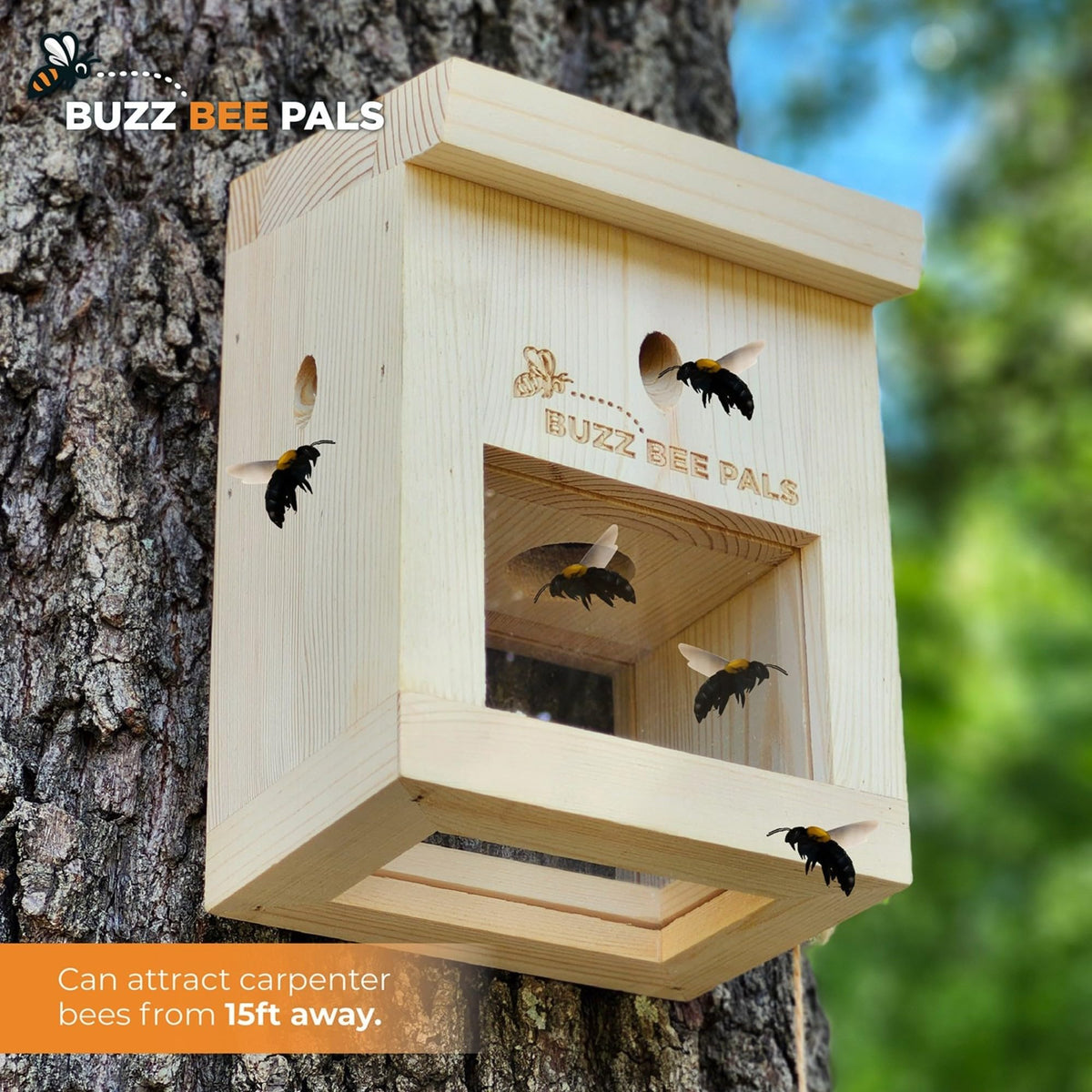 Buzz Bee Pals Patrol Trap B1 sliding bottom door for easy release