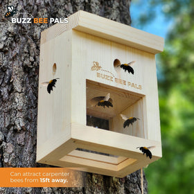 Buzz Bee Pals Patrol Trap B1 sliding bottom door for easy release