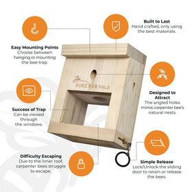 Buzz Bee Pals Patrol Trap B1 weatherproof construction for outdoor use