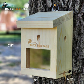 Buzz Bee Pals Patrol Trap B1 windows view for caught bee visibility