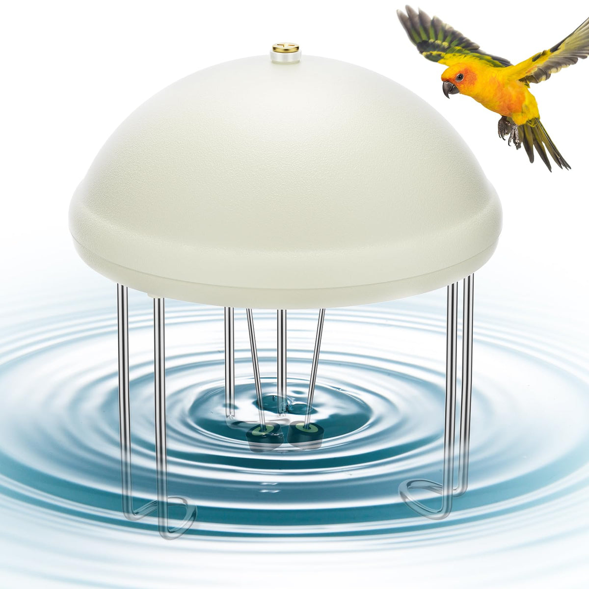 Buzzlett Bird Bath Circulator in use, moving water attracts birds.