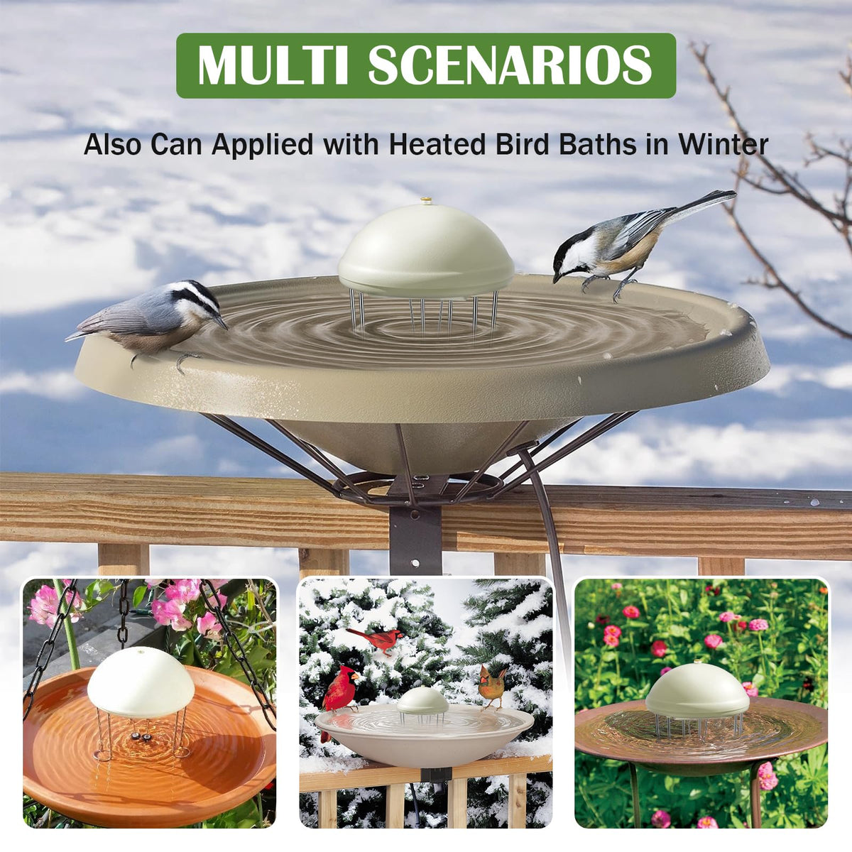 Buzzlett enhances outdoor ambiance as birds bathe and sip.