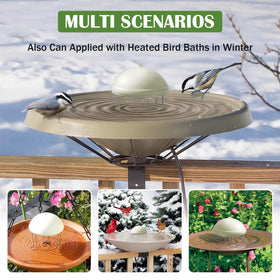 Buzzlett enhances outdoor ambiance as birds bathe and sip.