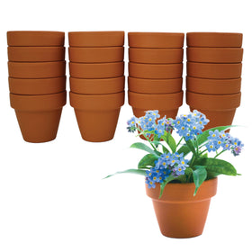 BUZZY Forget Me Not seeds packet shows premium non-GMO blooms