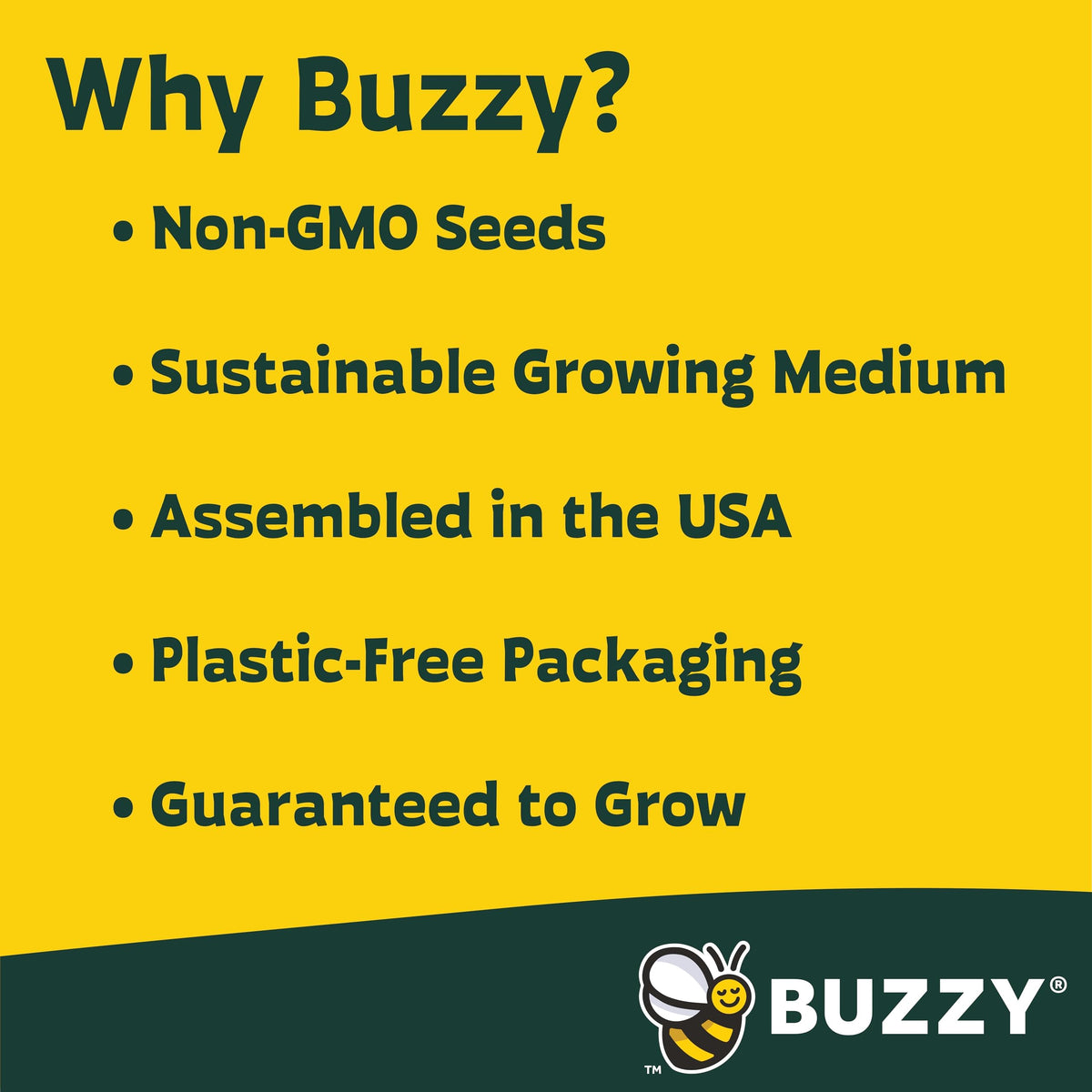 Kids crafting with BUZZY sunflower starter kit creating plantable keepsakes