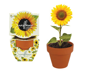 BUZZY Seeds coconut husk growing medium supports easy seed starting indoors.
