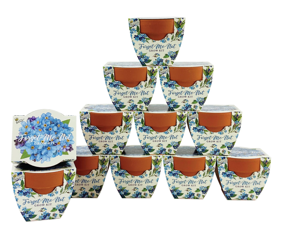 BUZZY Seeds Daydream Forget-Me-Not mini pots ready for seed starting