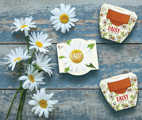 BUZZY Seeds Daydream mini pots on a bright windowsill ready for seed starting