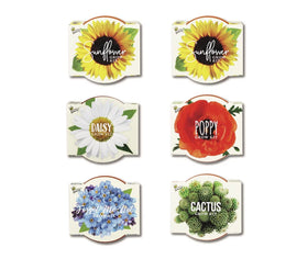 BUZZY Seeds Daydream seed packs with assorted varieties for home gardening