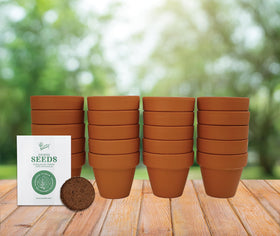 Gift-ready BUZZY Seeds kit ideal for parties and DIY projects