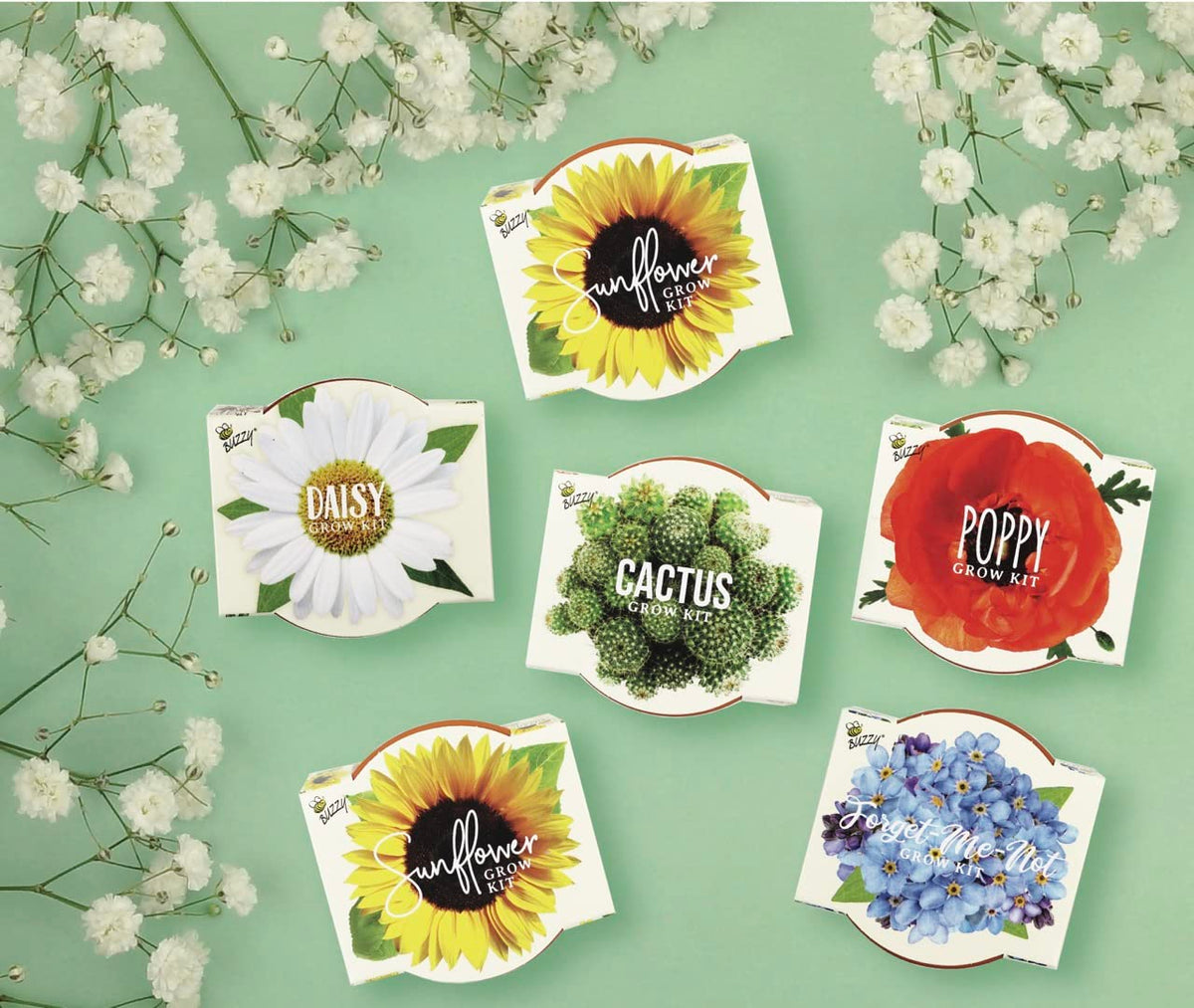 BUZZY Seeds Daydream growing medium pellets simplify indoor germination