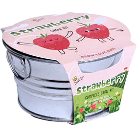 BUZZY Seeds indoors windowsill strawberry kit fits small spaces