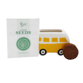 BUZZY Seeds cosmos bus planter on a sunny windowsill for cheer