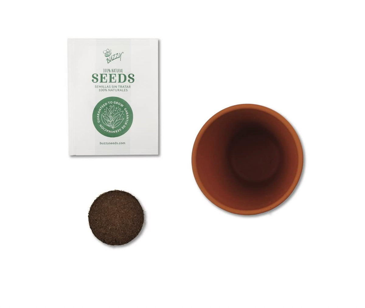 BUZZY Seeds mini terracotta pot with daisy seeds for bright, cheerful spaces.