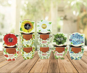 BUZZY Seeds mini terracotta pot with forget-me-not seeds for charm.