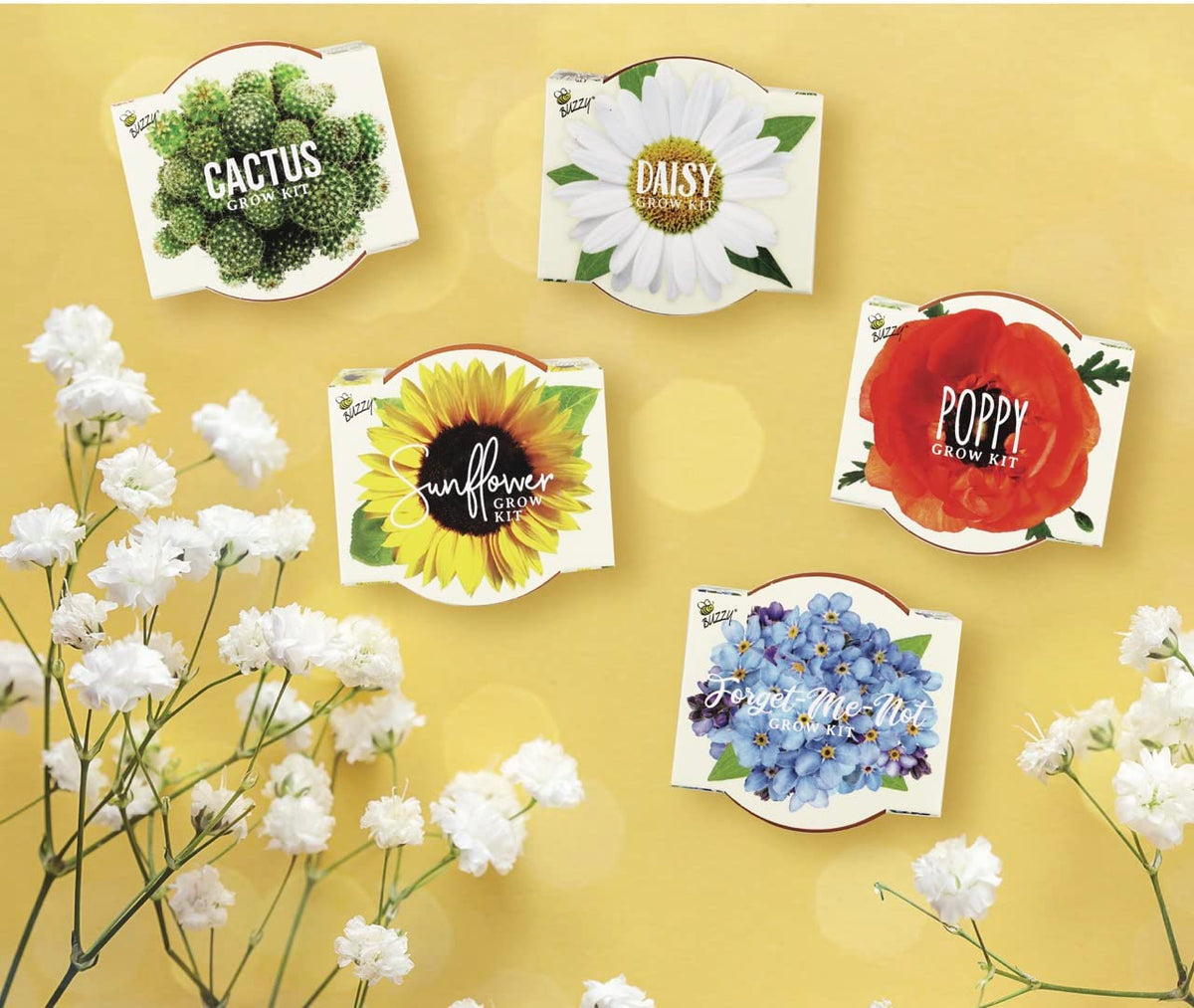 BUZZY Seeds mini kit with pots and seeds in-use setup.