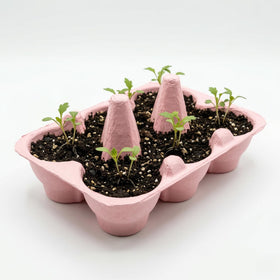 BUZZY Seeds natural growing medium promotes healthy germination and soil-friendly gardening.