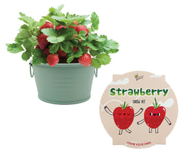 BUZZY Seeds Strawberry Grow Kit front view in a sage green basin for desk-top indoor gardening.