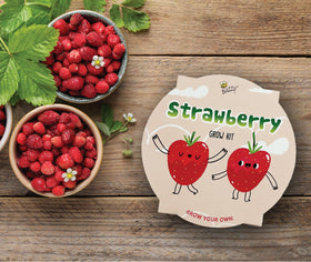 BUZZY strawberries ready for picking, perfect snack or dessert topping.