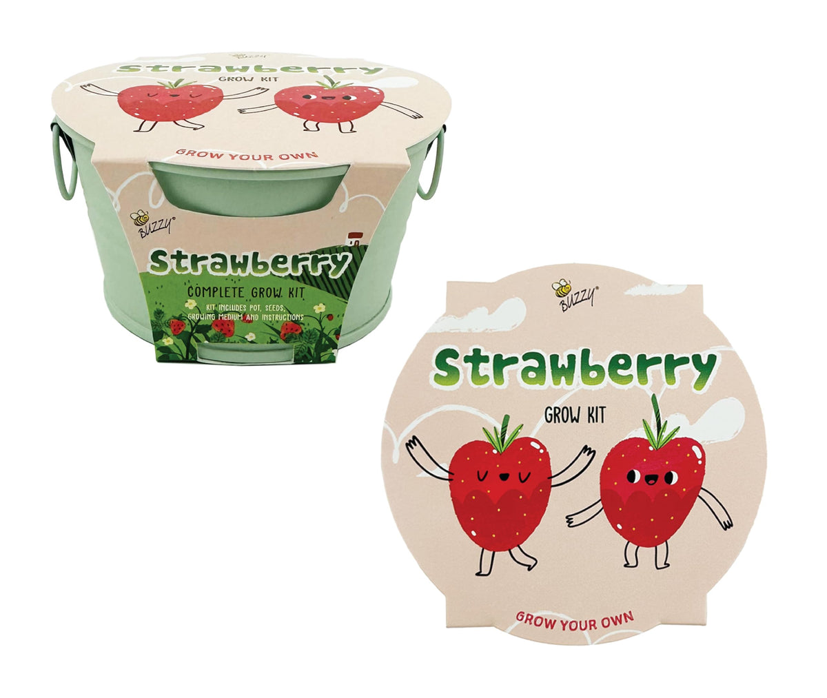 BUZZY Seeds packet close-up highlighting non-GMO Alpine Strawberry variety for home growing.
