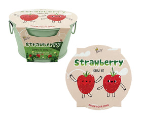 BUZZY Seeds packet close-up highlighting non-GMO Alpine Strawberry variety for home growing.