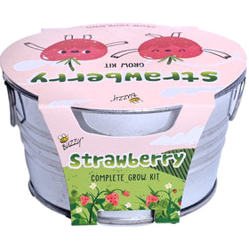 BUZZY Seeds strawberry harvest with tiny fruit ready for snacking