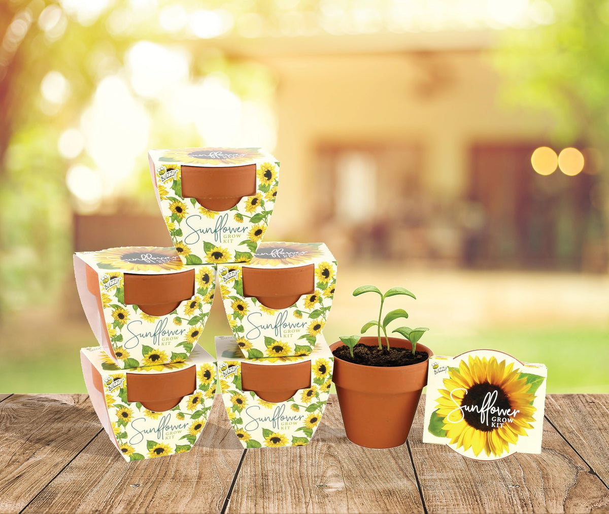 BUZZY Seeds Sunflower Daydream gift-ready packaging adds rustic charm
