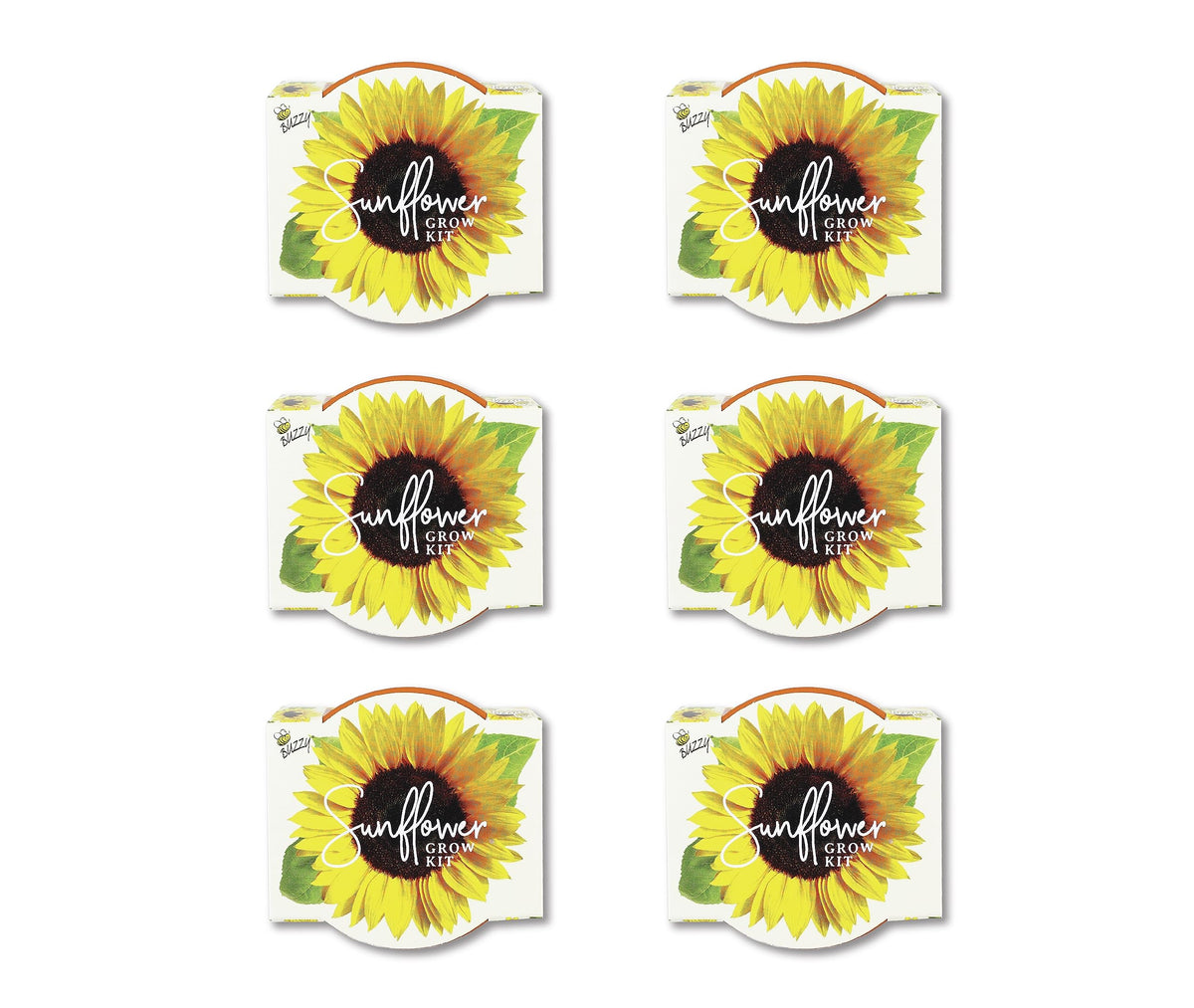 BUZZY Seeds Sunflower Daydream seed packets for quick-start blooms