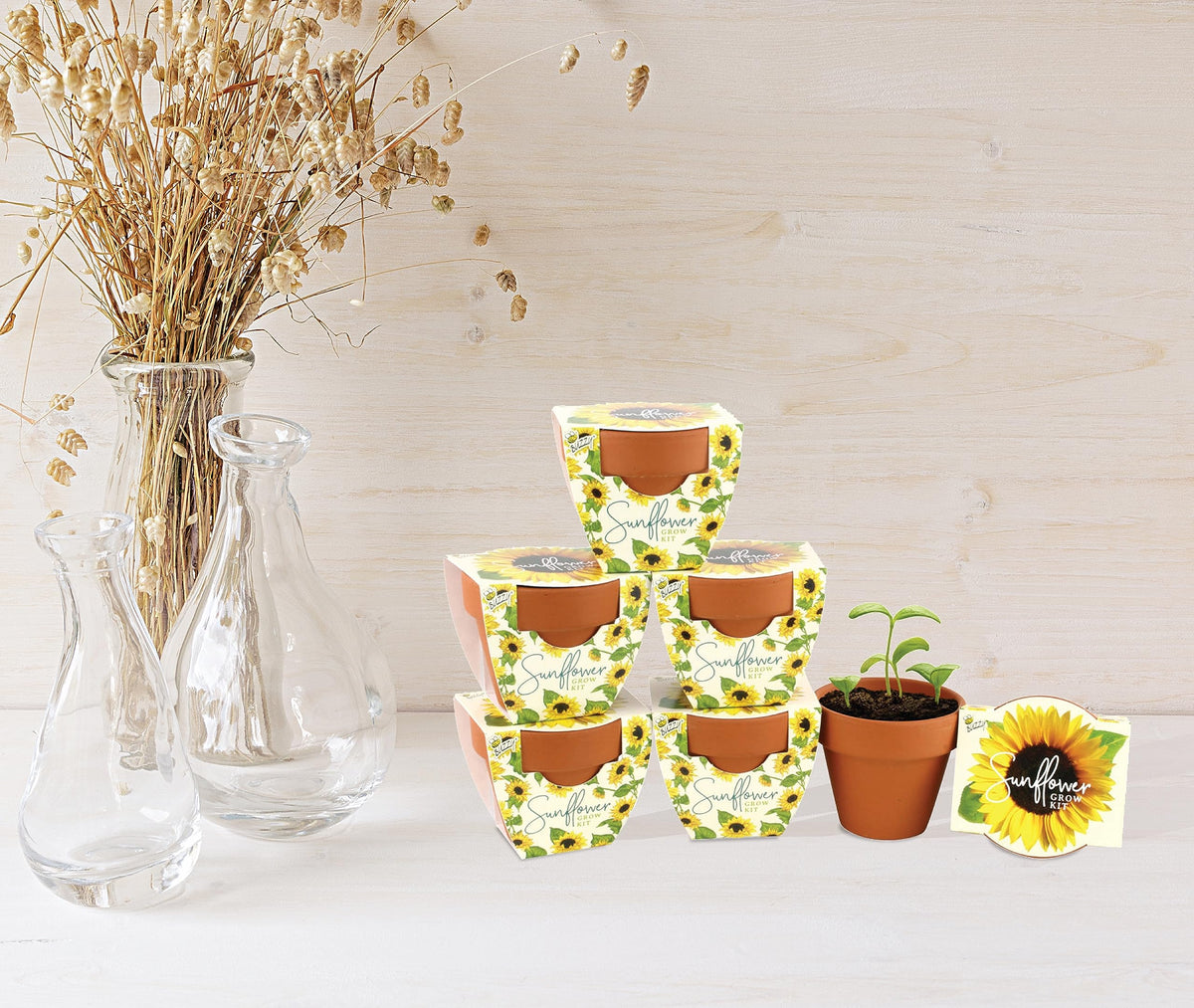 BUZZY Seeds Sunflower Daydream wedding favors kit boosts celebration décor