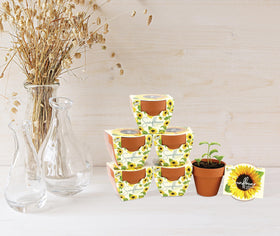 BUZZY Seeds Sunflower Daydream wedding favors kit boosts celebration décor